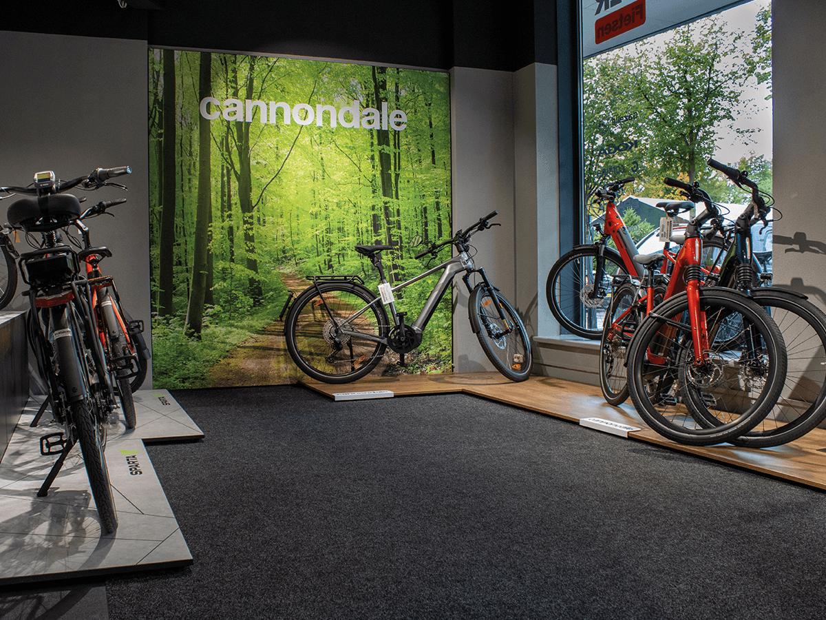 Cannondale showroom